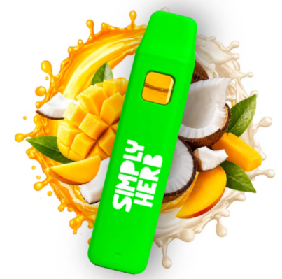 Mango Sticky Rice Disposable