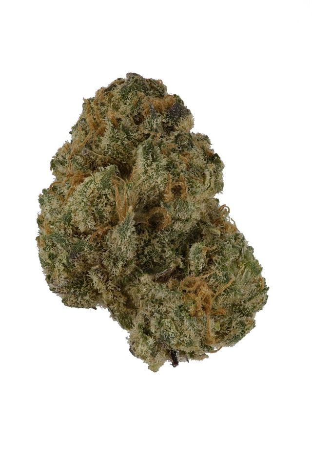 Chiquita OG Knack