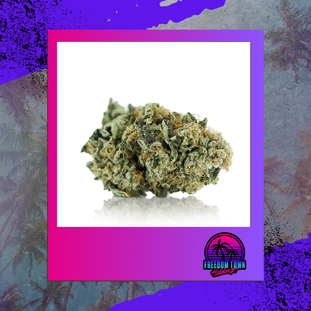 Chronic CKE Freedom Town
