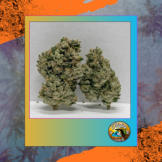 Origins Space Coast Kush Freedom Town