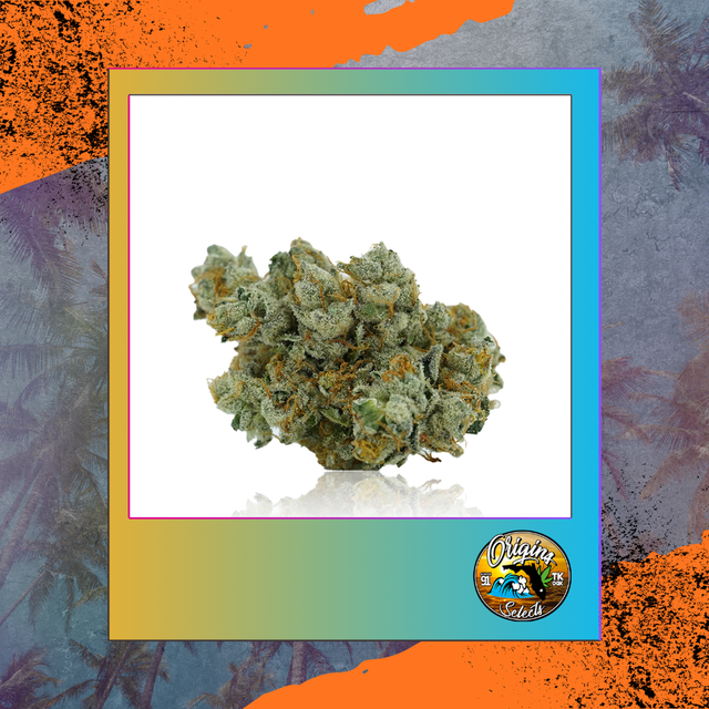 Origins Surfside OG Freedom Town