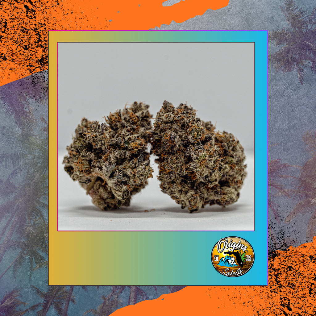Buy Origins TKZ 3.5g online - FLUENT Mary Esther | Mary Esther, FL