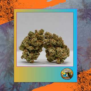 Origins Triangle Kush Freedom Town