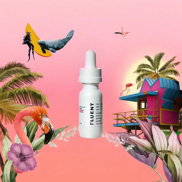 Miami Vibes Drops MOODS