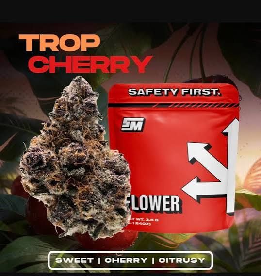 Trop Cherry Safety Meeting Trop Cherry Safety Meeting