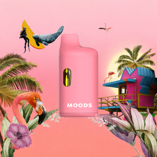 Miami Vibes AIO MOODS