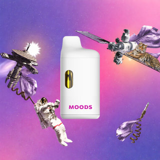 Midnight Cruiser AIO MOODS