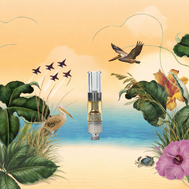 Gulf Coast Sunset Cartridge
