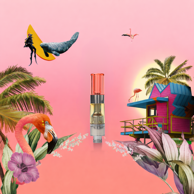Miami Vibes Cartridge