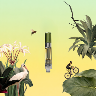 Everglade Haze Cartridge MOODS