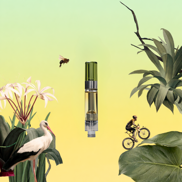 Everglade Haze Cartridge MOODS