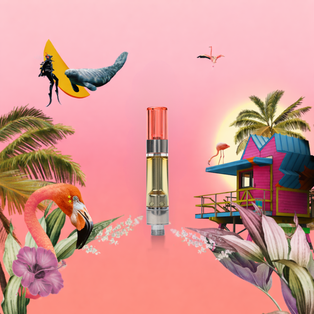Miami Vibes Cartridge MOODS