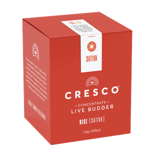 Lemon Bean Cresco