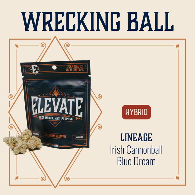 Wrecking Ball Elevate