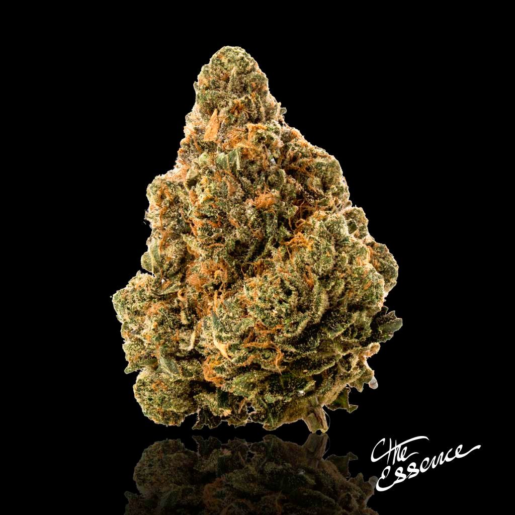 (the) Essence Laughing Gas Whole Flower, 3.5g