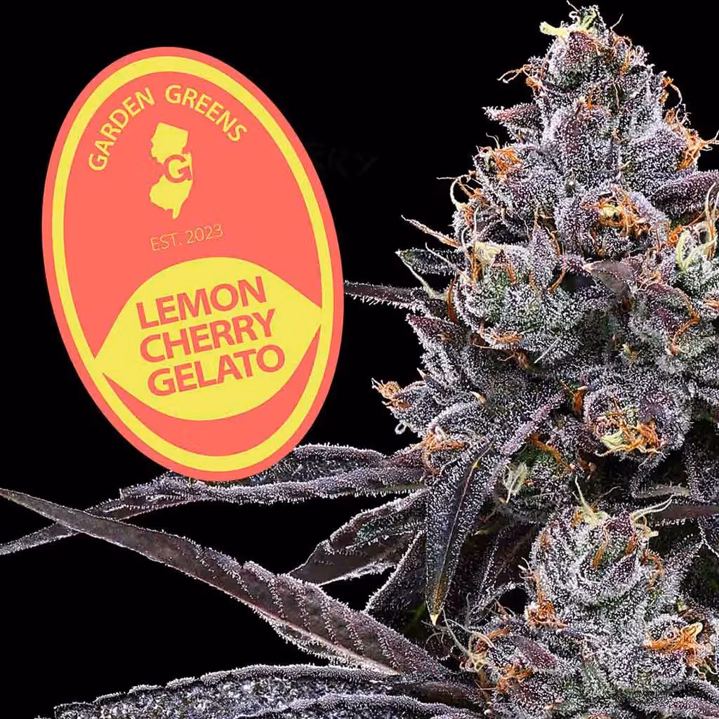 Lemon Cherry Gelato Garden Greens Lemon Cherry Gelato Garden Greens