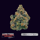 Lemon Cherry Rozay Kind Tree Lemon Cherry Rozay Kind Tree