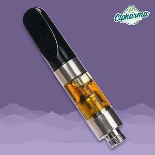 Gush Mintz