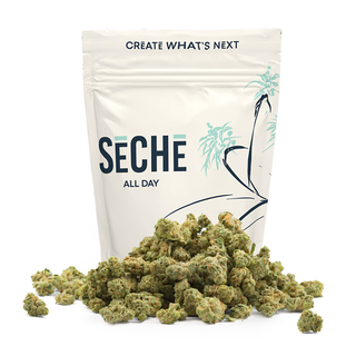 I-95 Legend Seche I-95 Legend Seche