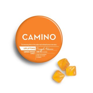 Up: Pineapple Habanero Camino Up: Pineapple Habanero Camino