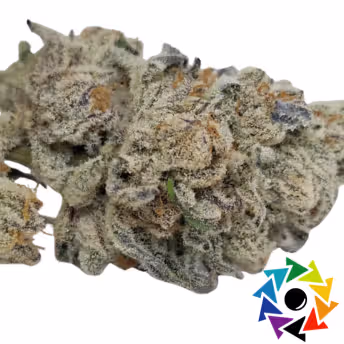 Staten Island Sour Diesel
