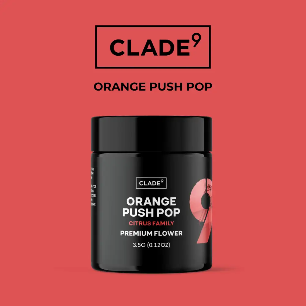 Orange Push Pop CLADE9