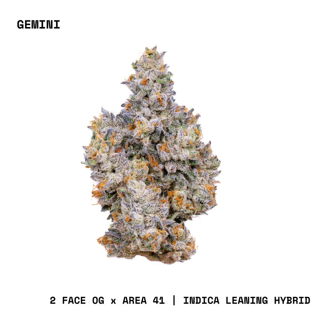 Alien Labs Gemini Flower, 3.5g - image 2