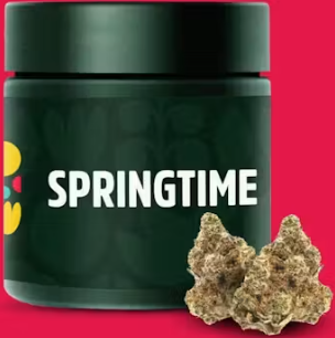 Banana Kush Cake | 3.5g Flower Springtime