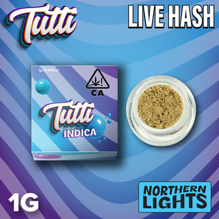 Northern Lights Live Hash Tutti