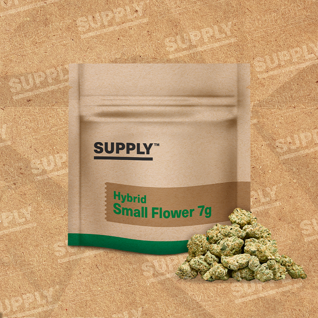 Jokerz Supply Jokerz Supply