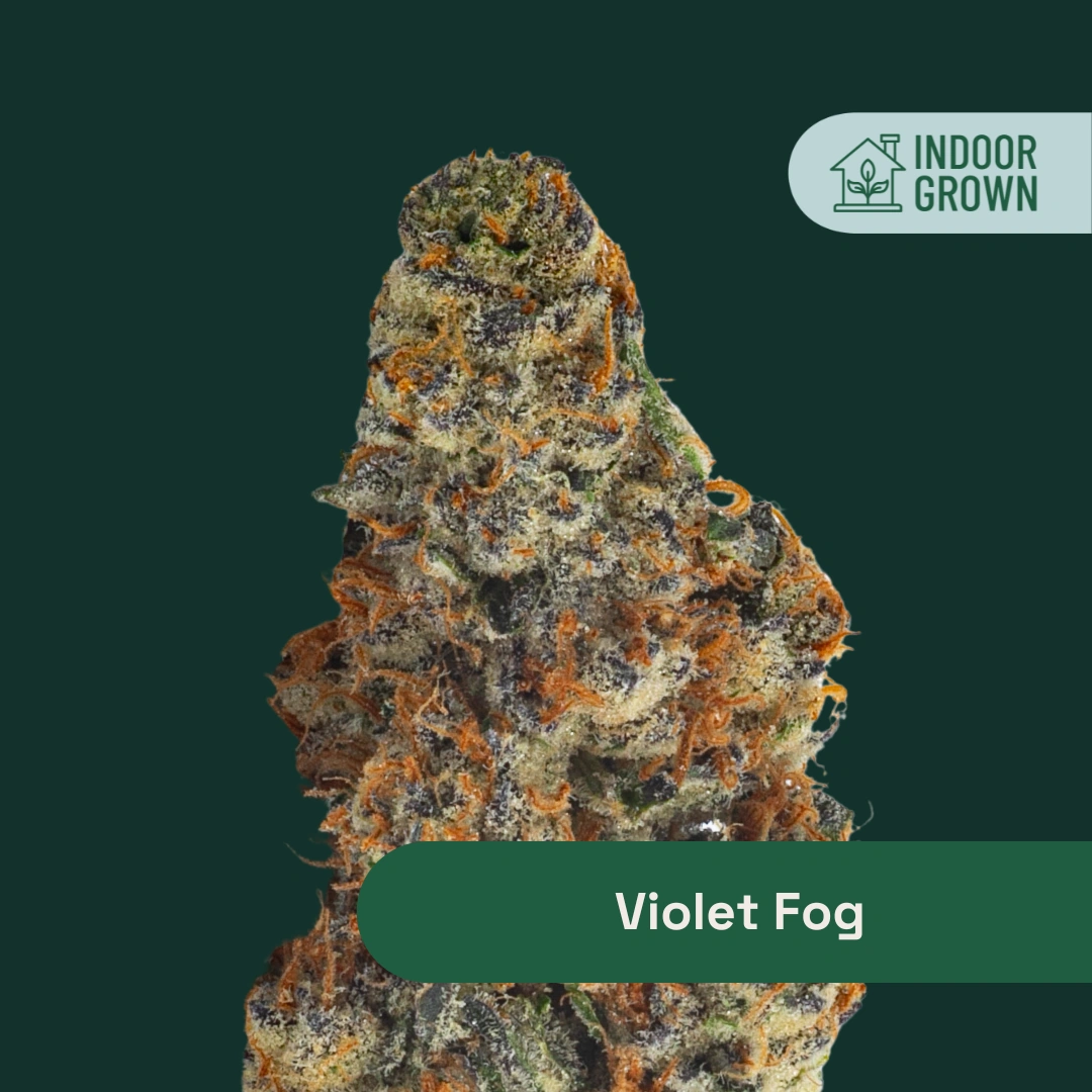 Violet Fog The Botanist Violet Fog The Botanist