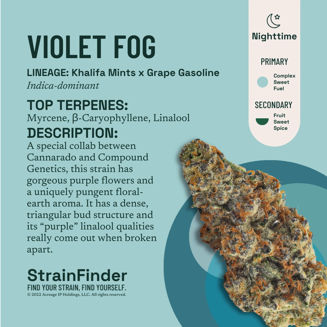 Violet Fog The Botanist Violet Fog The Botanist