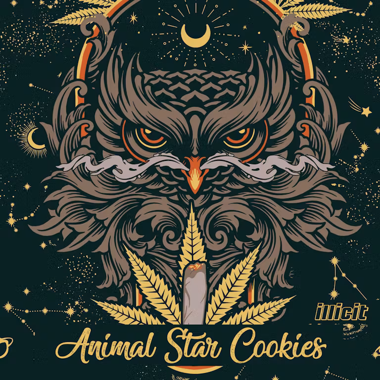 Animal Star Cookies Illicit Animal Star Cookies Illicit