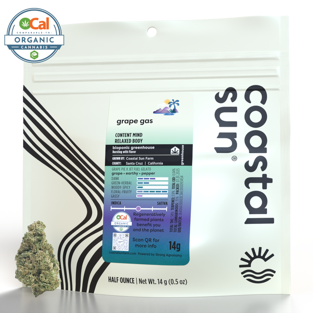 Grape Gas Coastal Sun