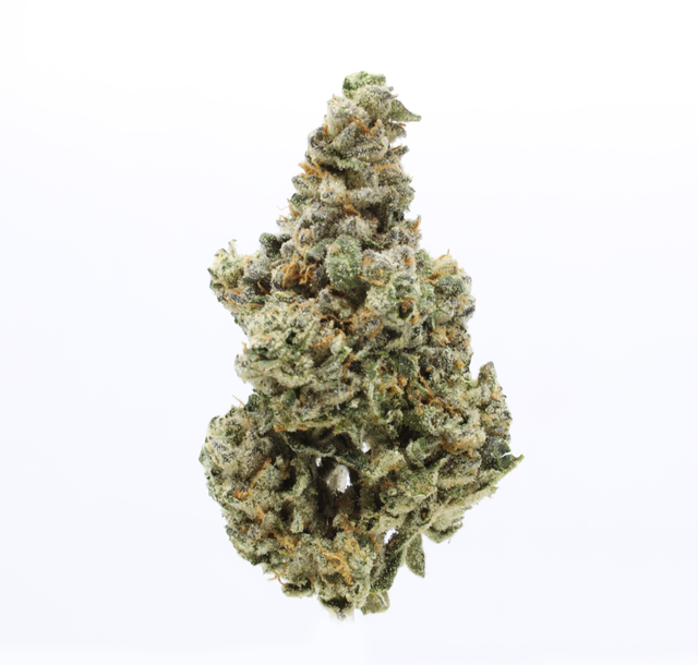 Blue Diesel UpNorth Humboldt Blue Diesel UpNorth Humboldt