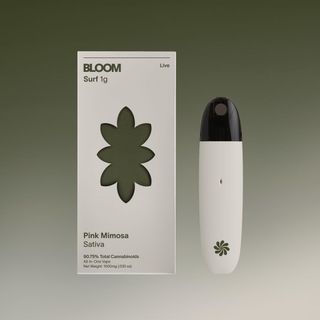 Pink Mimosa Live product