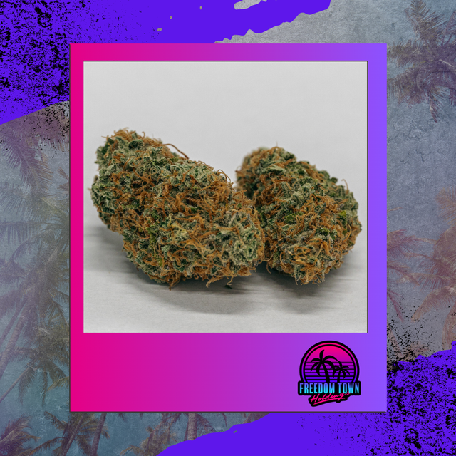 Bubbly Haze Freedom Town Bubbly Haze Freedom Town