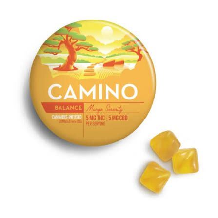 Mango Serenity 1:1 THC:CBD Camino
