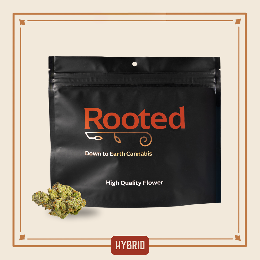 Rooted Gelato Ice Cream Popcorn 28g