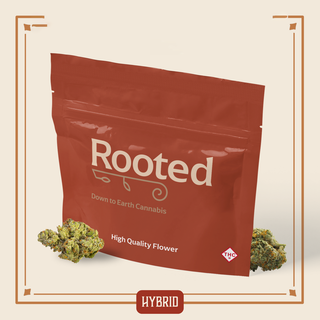 Gelato Ice Cream Rooted