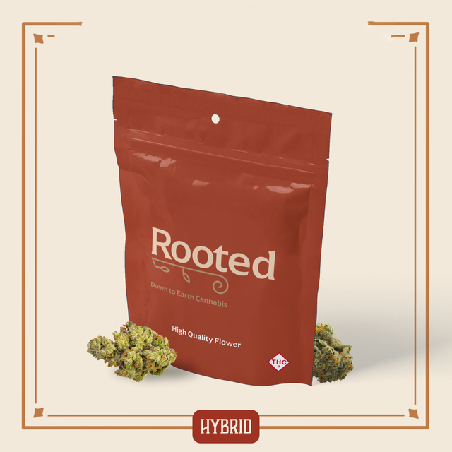 Gelato Ice Cream Rooted