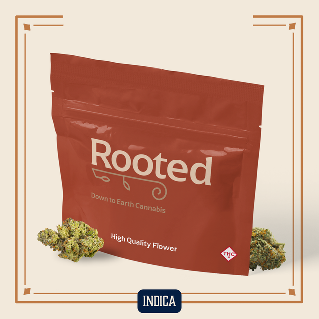 Sherbet Honey Rooted