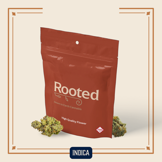 Sherbet Honey Rooted