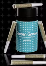 PayDaze | 2.5G Infused 5pk Pre-Rolls Garden Greens
