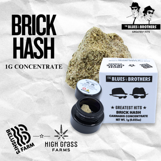 Indica Brick The Blues Brothers