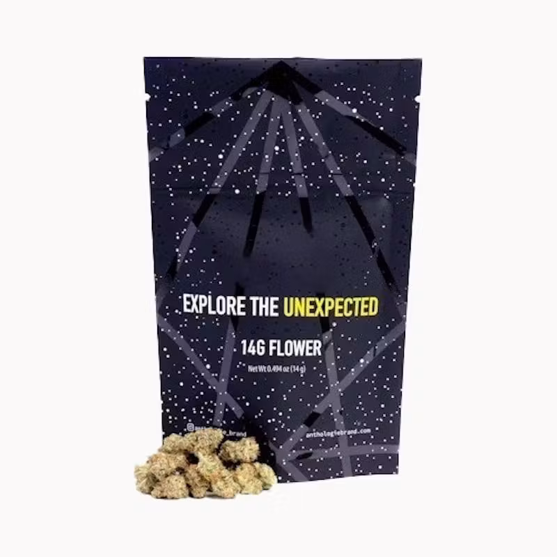 Glitter Bomb Anthologie