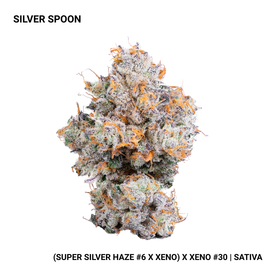 Connected Silver Spoon Flower, 3.5g - image 2