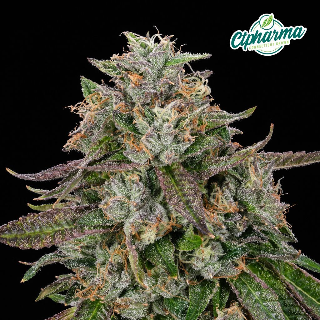 CTPharma Super Rz Flower, 3.5g