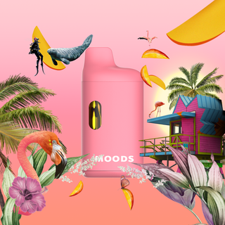 Miami Vibes AIO MOODS