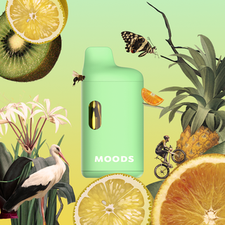 Everglade Haze AIO MOODS